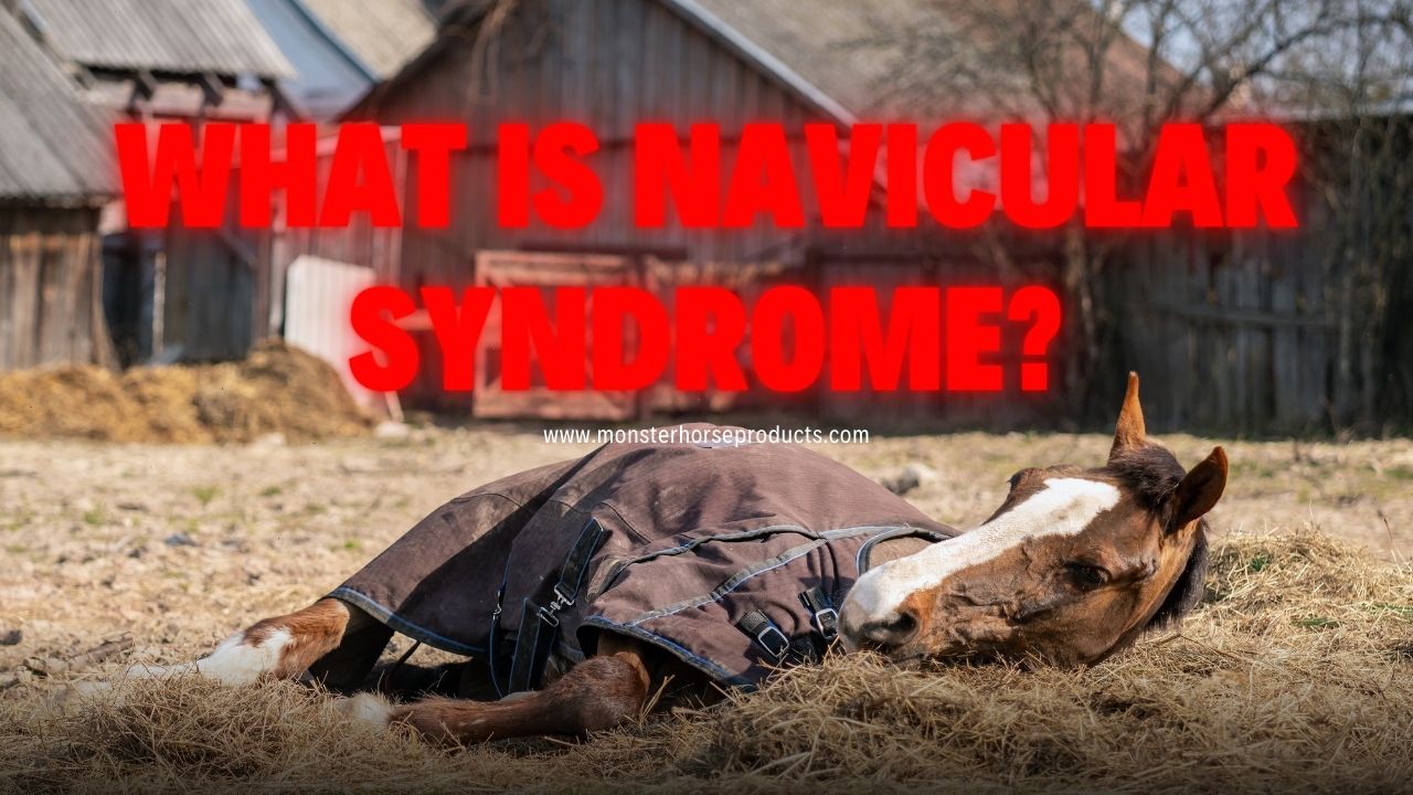 What is Navicular Syndrome?